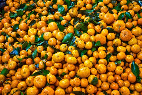 Uncountable Noun, how much fresh orange fruits